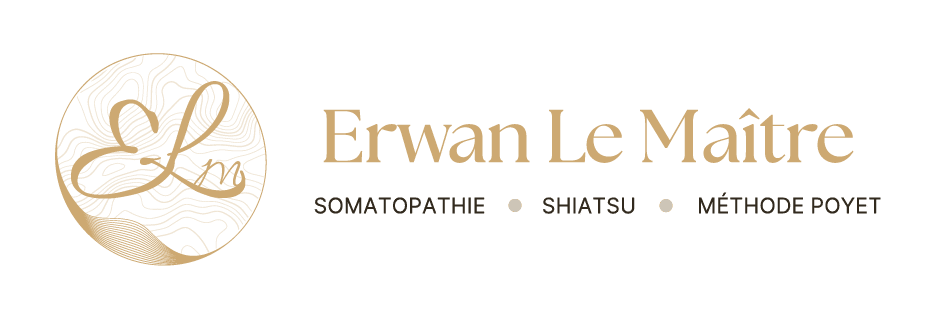 logo erwan le maitre praticien santé à Angers